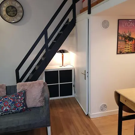 Cosy Entierement Renove A Deux Pas De Lyon * Fontaines-sur-Saone