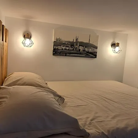 Cosy Entierement Renove A Deux Pas De Lyon Apartment