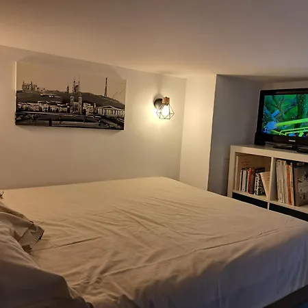 Cosy Entierement Renove A Deux Pas De Lyon Apartment Fontaines-sur-Saone